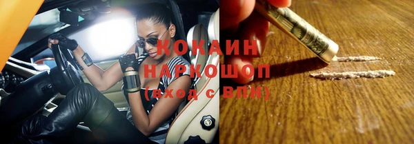 прущие грибы Армянск
