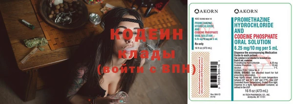 прущие грибы Армянск