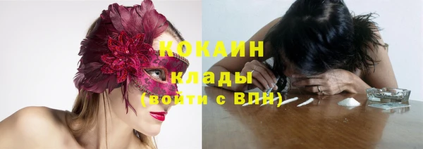 прущие грибы Армянск