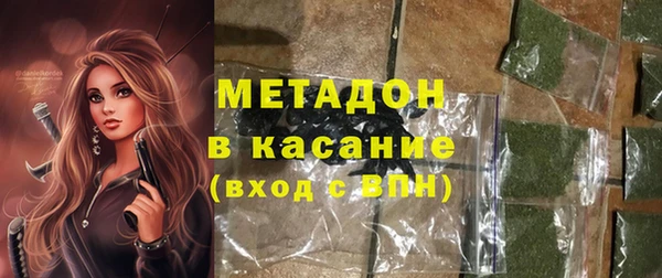 прущие грибы Армянск