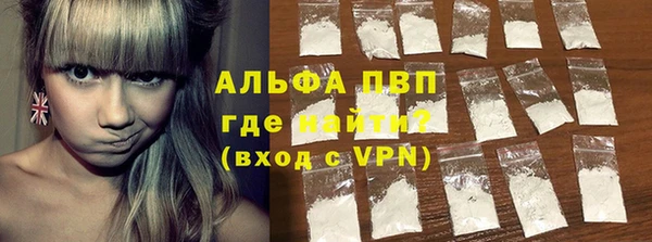 прущие грибы Армянск